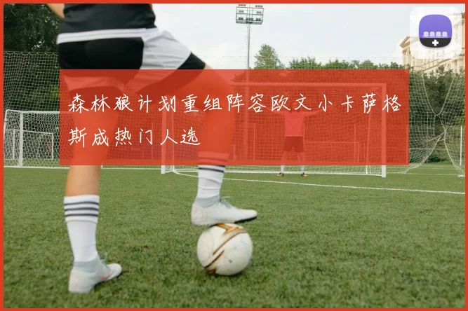森林狼计划重组阵容欧文小卡萨格斯成热门人选